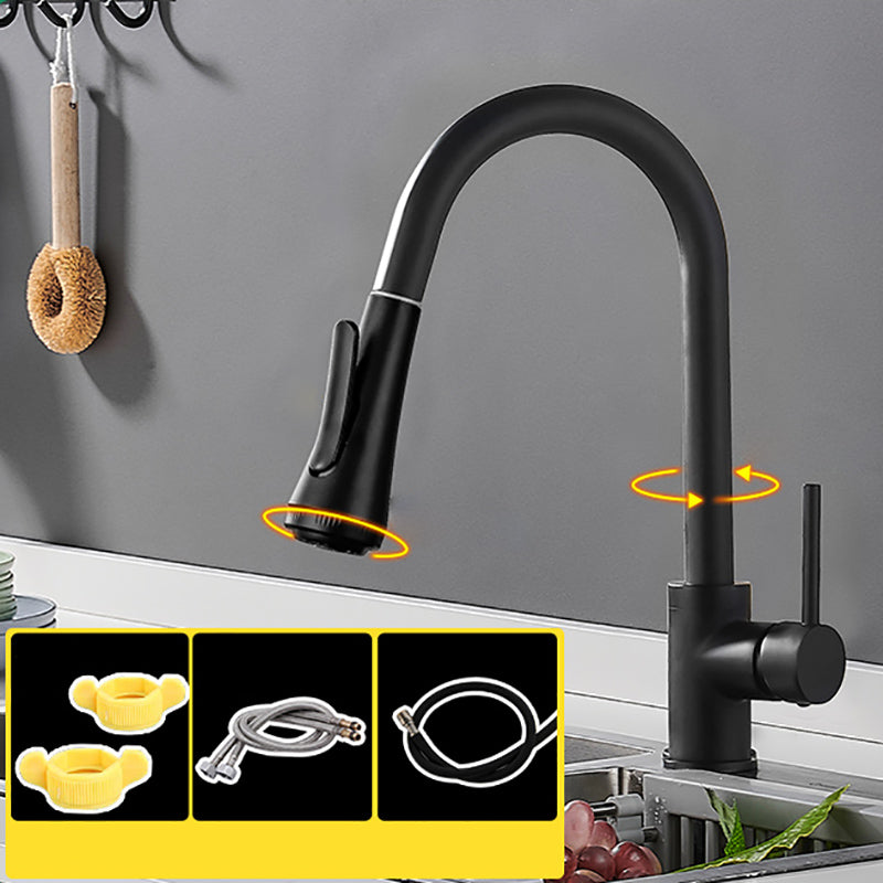 Modern Pullable Sprayer Water Filler One Handle High Arch Kitchen Faucet