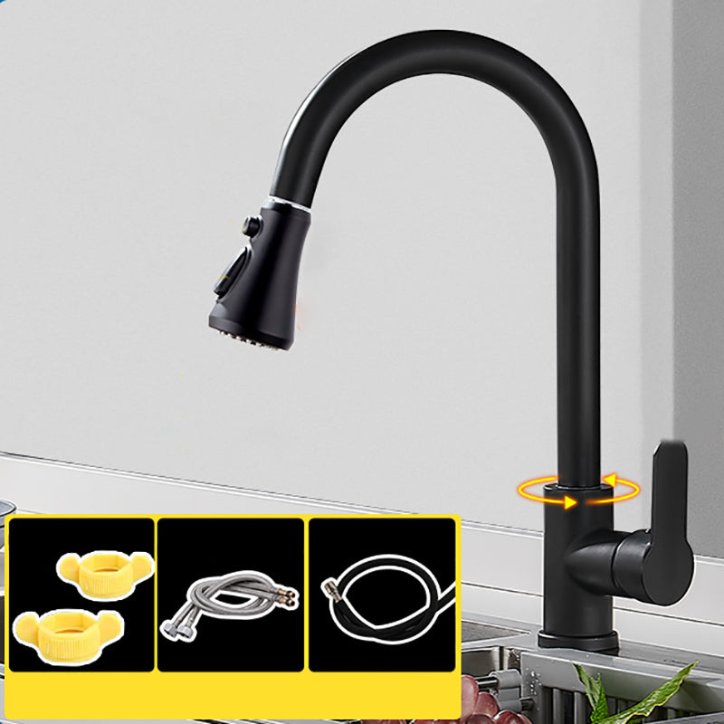 Modern Pullable Sprayer Water Filler One Handle High Arch Kitchen Faucet