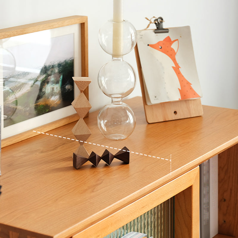 Closed Back Bookshelf Solid Wood Contemporary Bookcase with Doors