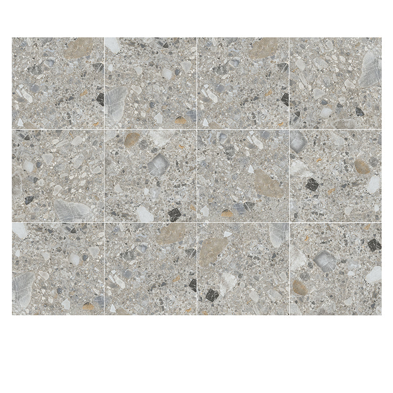 Matte Floor and Wall Tile Modern Patterned Square Singular Tile