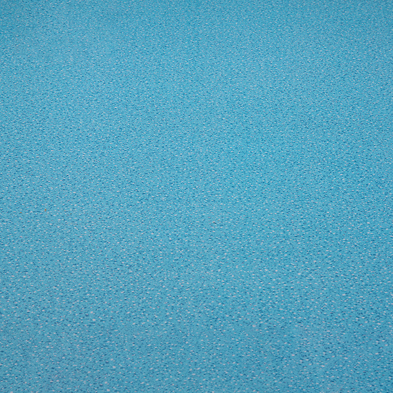 Indoor Flooring Peel and Stick Coiled PVC 200cm Waterproof Vinyl Floor