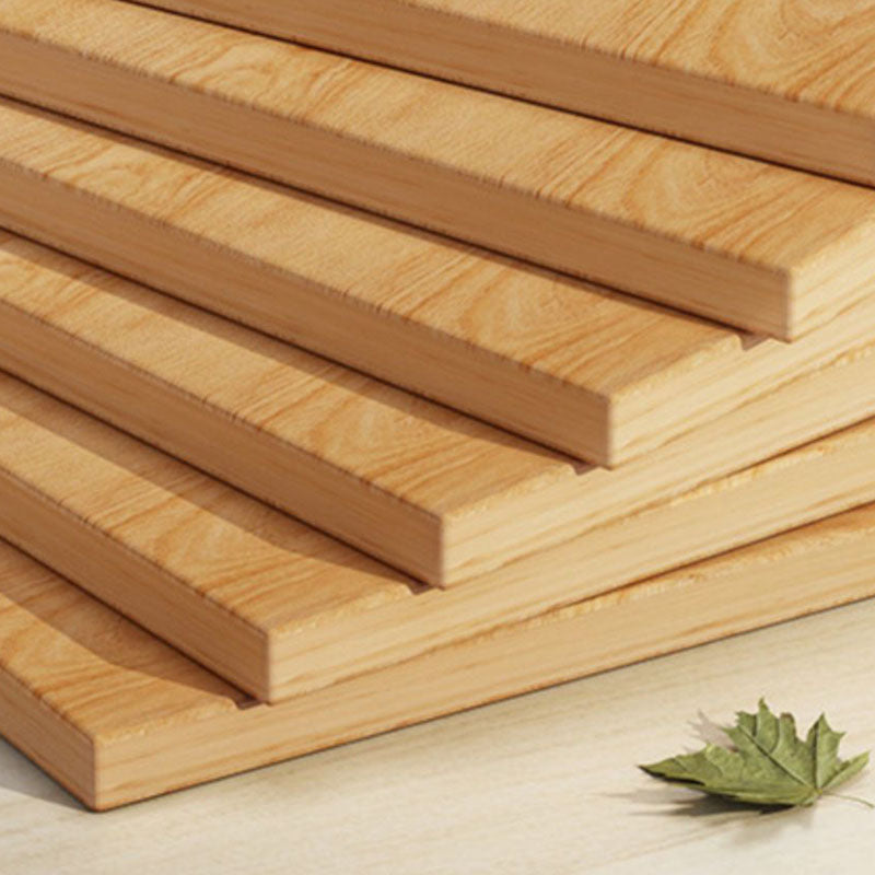 Contemporary Closed Back Bookcase Engineered Wood Bookshelf for Home Office