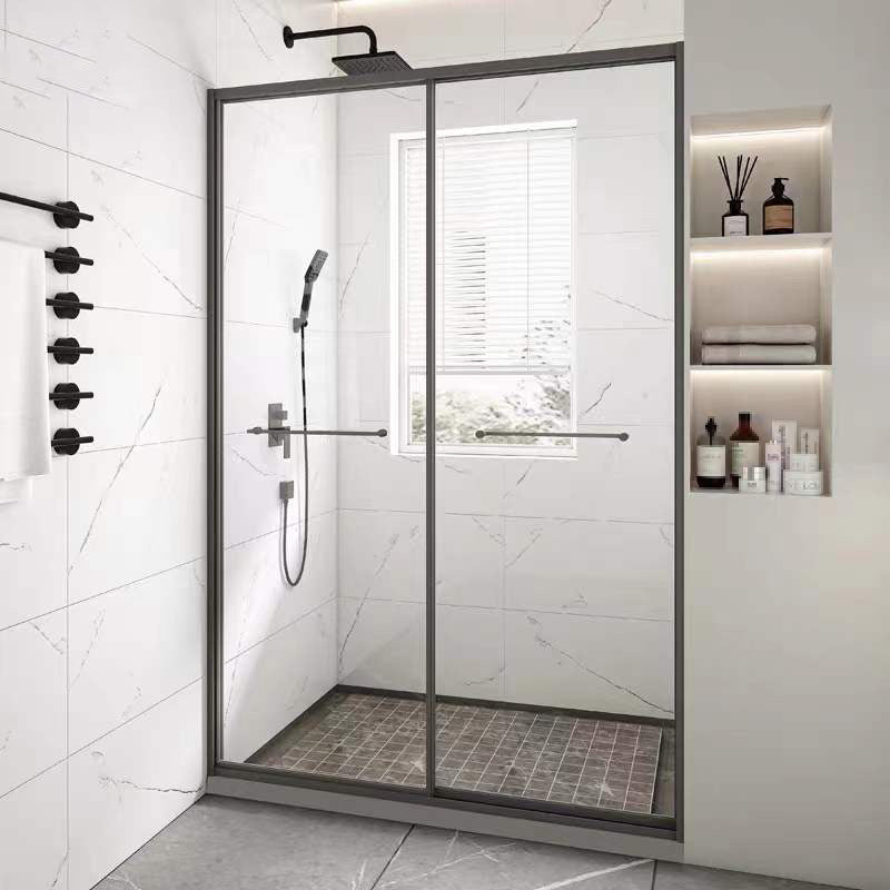 Transparent Double Glass Shower Bath Door Metal Framed Shower Door