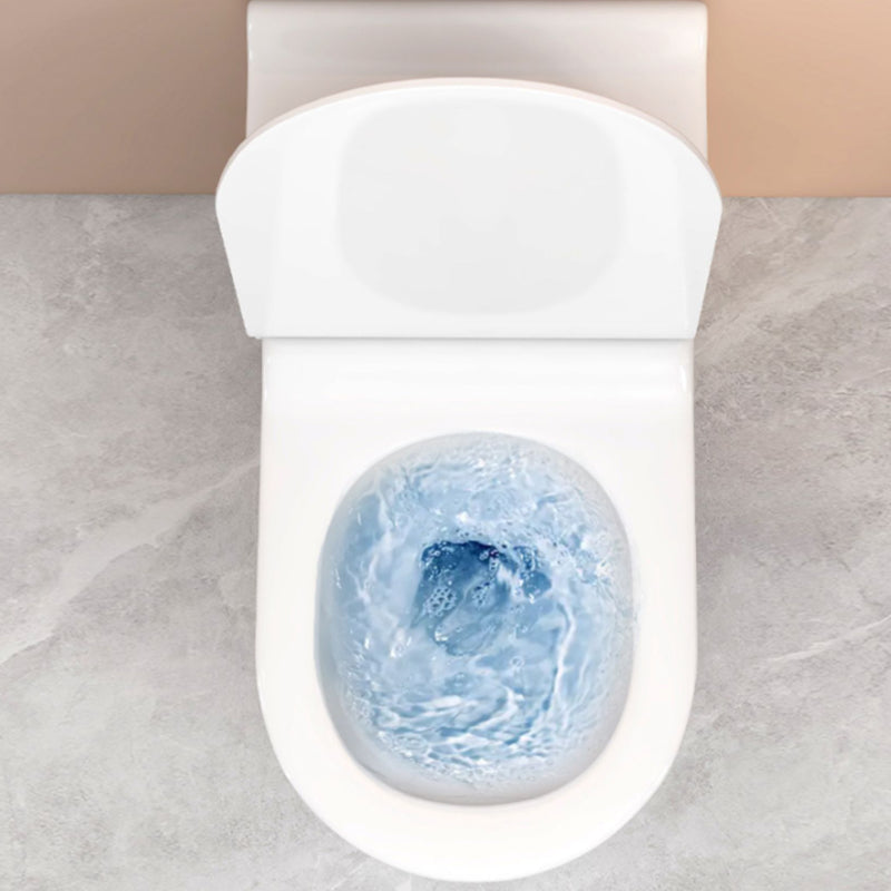 Modern Floor Mounted Toilet White Slow Close Seat Included Toilet Bowl for Washroom
