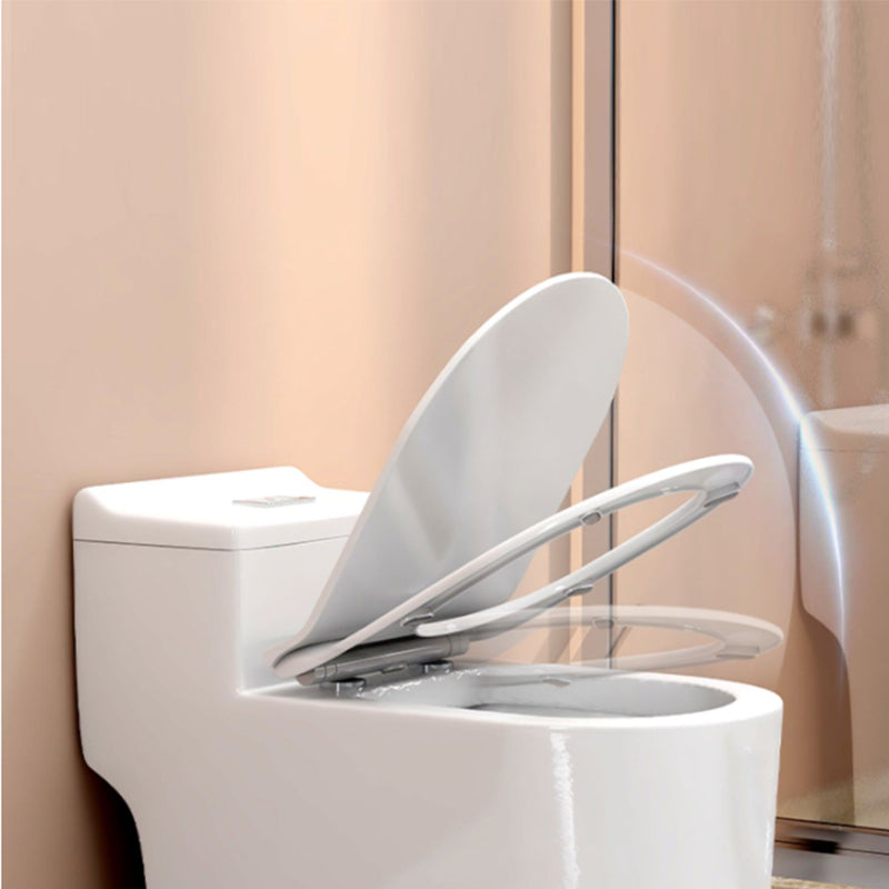 Modern Floor Mounted Toilet White Slow Close Seat Included Toilet Bowl for Washroom