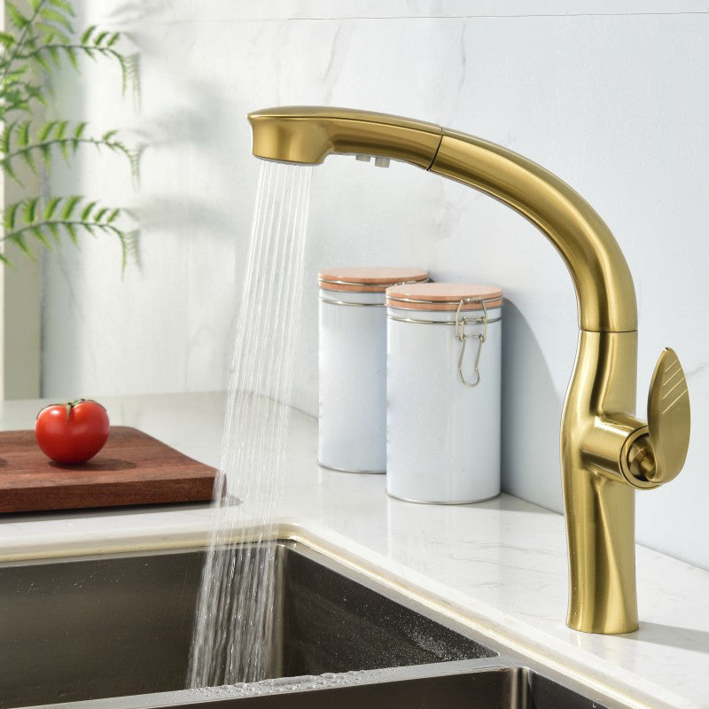 Contemporary Single Handle Kitchen Faucet Pull Out Desk Mounted Faucet