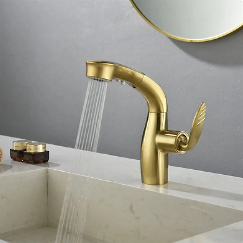 Contemporary Single Handle Kitchen Faucet Pull Out Desk Mounted Faucet