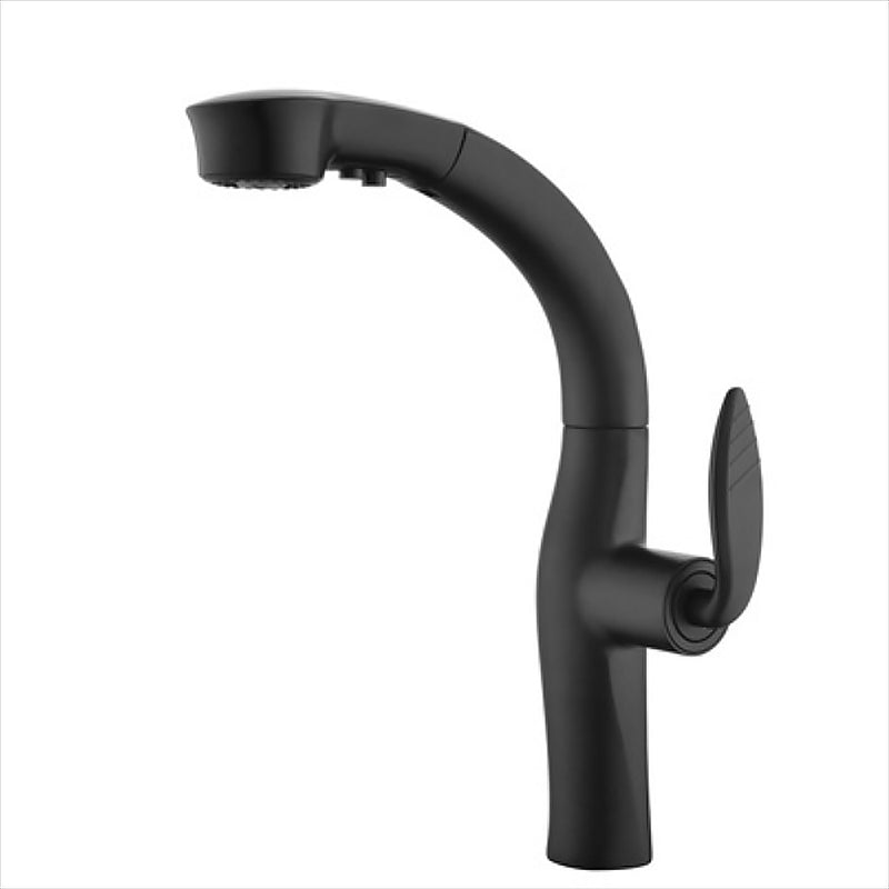 Contemporary Single Handle Kitchen Faucet Pull Out Desk Mounted Faucet