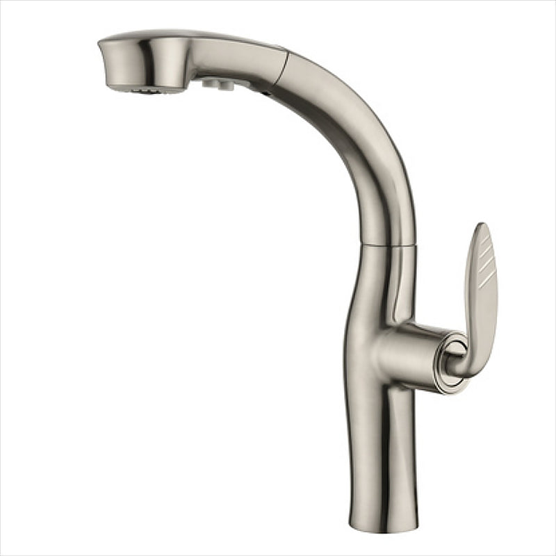 Contemporary Single Handle Kitchen Faucet Pull Out Desk Mounted Faucet