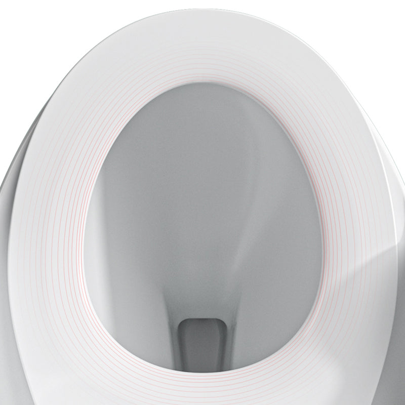 Contemporary Ceramic Toilet Floor Mount Urine Toilet with Slow Close Seat for Bathroom