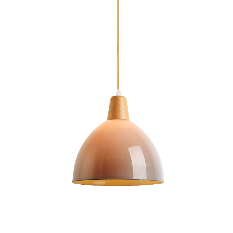 Acrylique en dôme de plafond suspendu moderniste 1 tête gris gris bouth suscitation pour le chevet