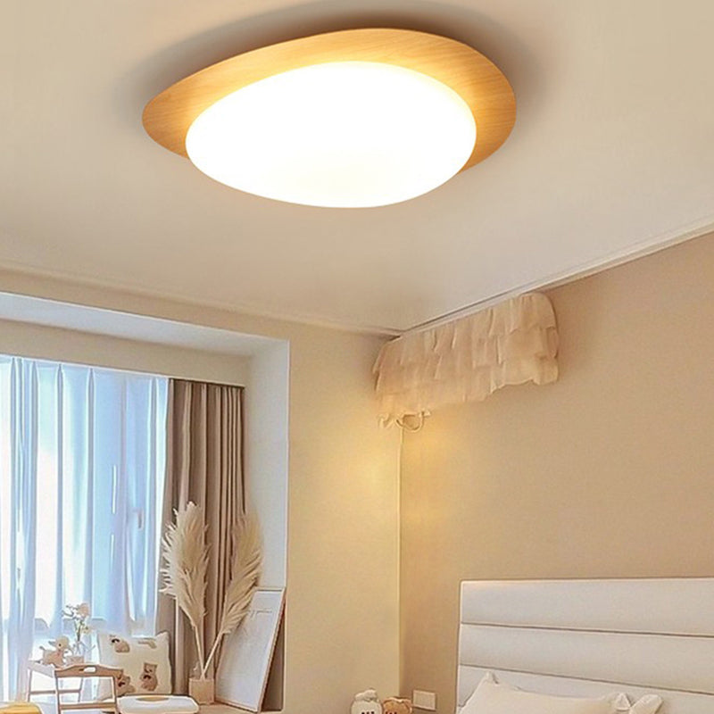 Contemporary Flush Mount Lamp Acrylic Shade Led Flush Mount for Bedroom
