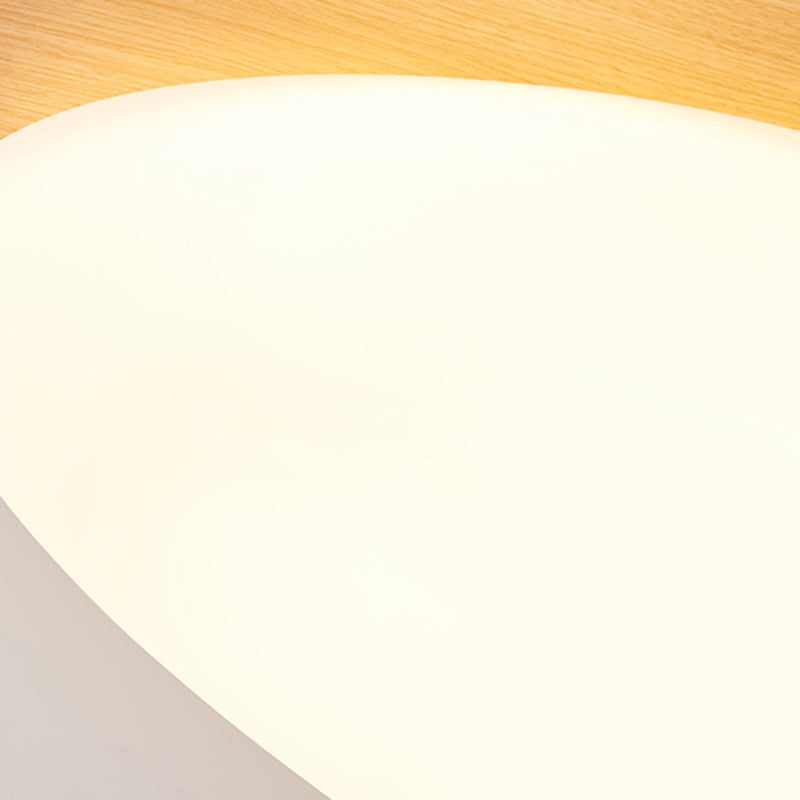 Contemporary Flush Mount Lamp Acrylic Shade Led Flush Mount for Bedroom