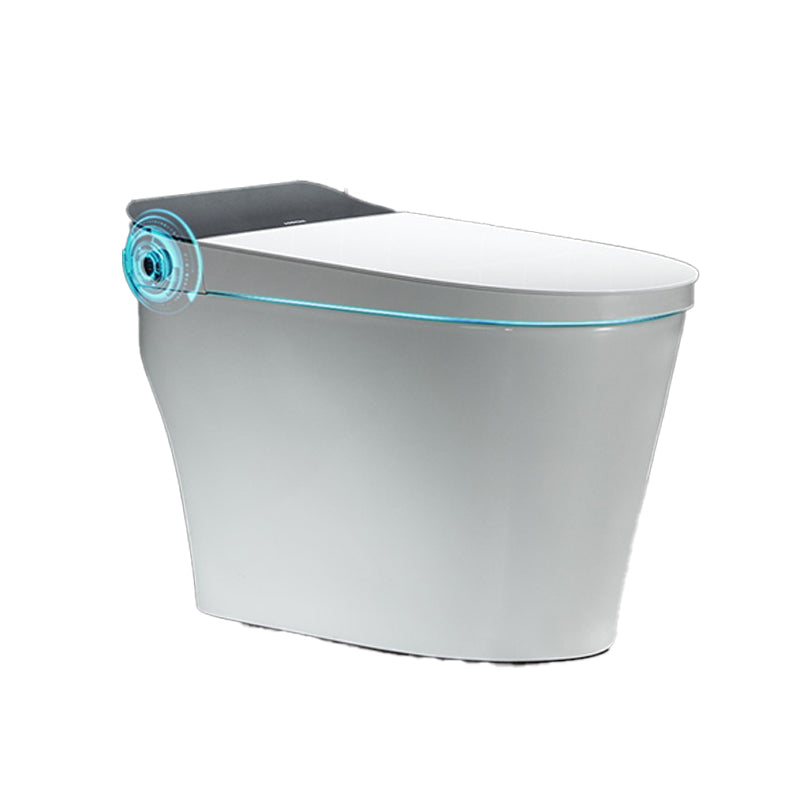 Elongated Floor Standing Bidet Contemporary Floor Mount Bidet