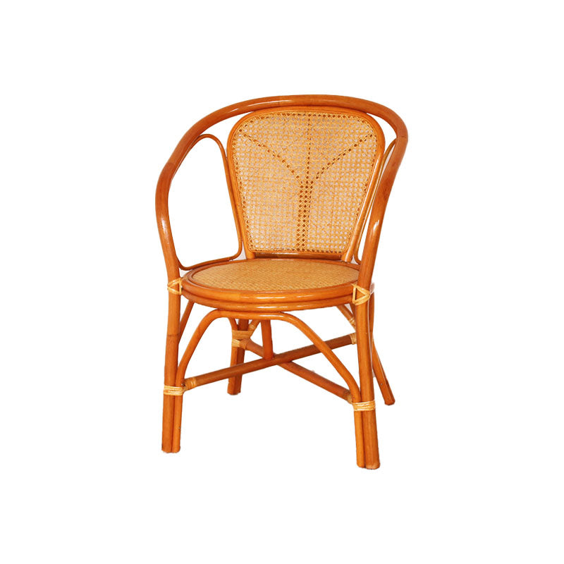 Traditional Kitchen Dining Chairs Cane Back Arm Chairs for Dining Room