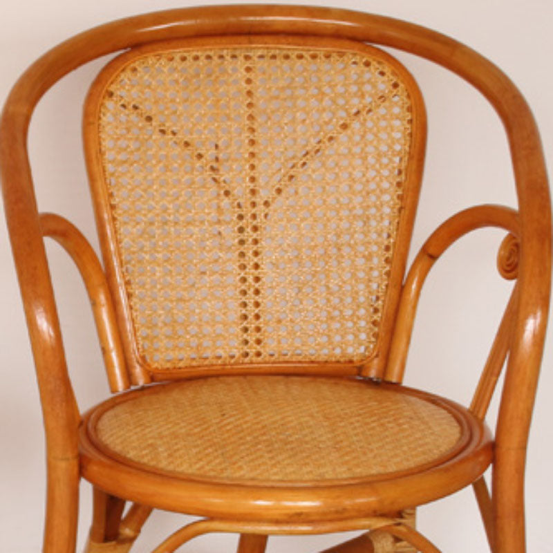 Traditional Kitchen Dining Chairs Cane Back Arm Chairs for Dining Room