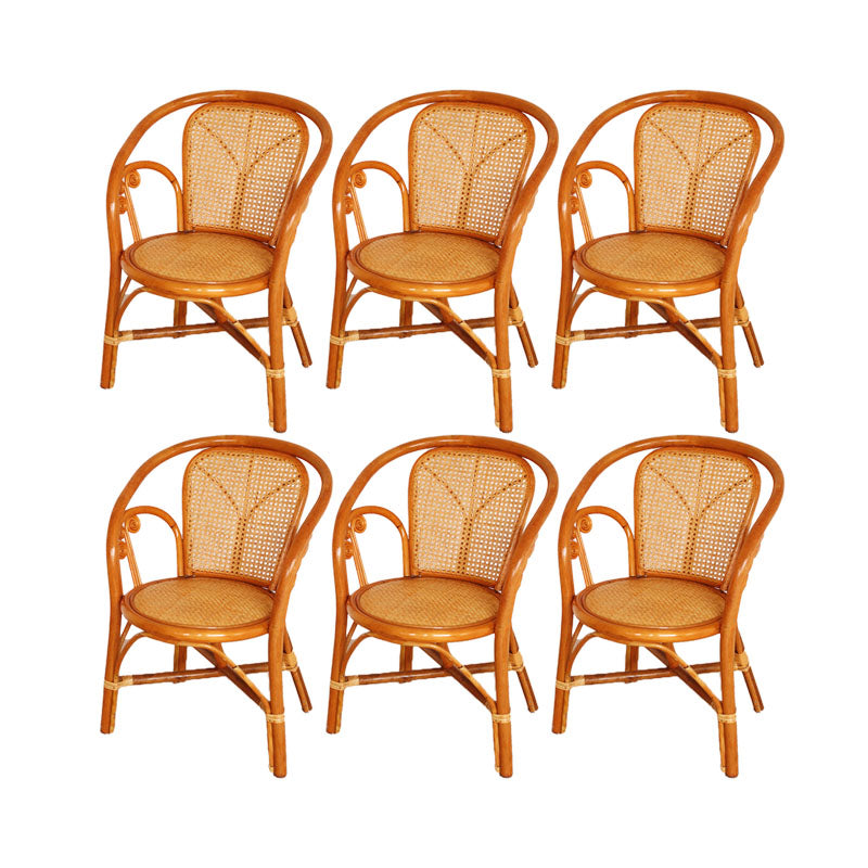 Traditional Kitchen Dining Chairs Cane Back Arm Chairs for Dining Room