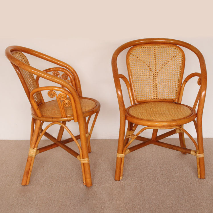 Traditional Kitchen Dining Chairs Cane Back Arm Chairs for Dining Room