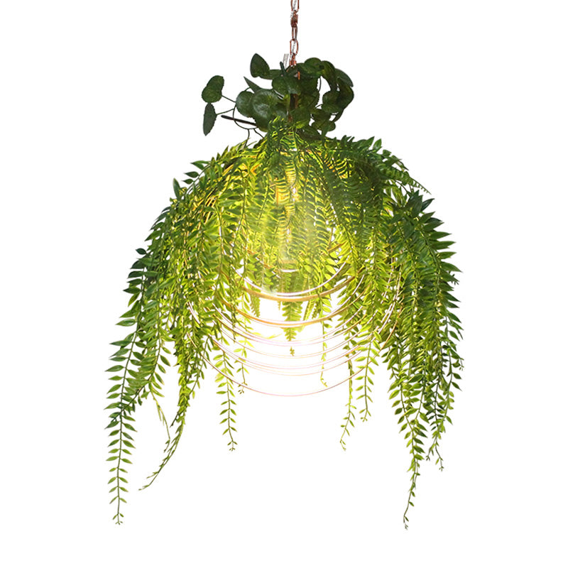 Multi Circle Iron Suspension Lighting Warehouse 1 Head Restaurant Plant Hanging Pendant in Gold