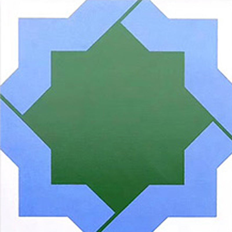 Ceramic Wall & Floor Tile Modern Patterned Floor and Wall Tile