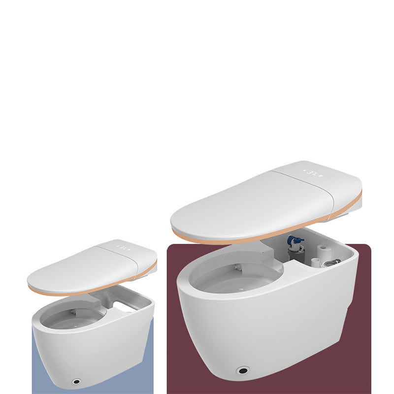 Modern White Flush Toilet Floor Mount Toilet Bowl for Washroom