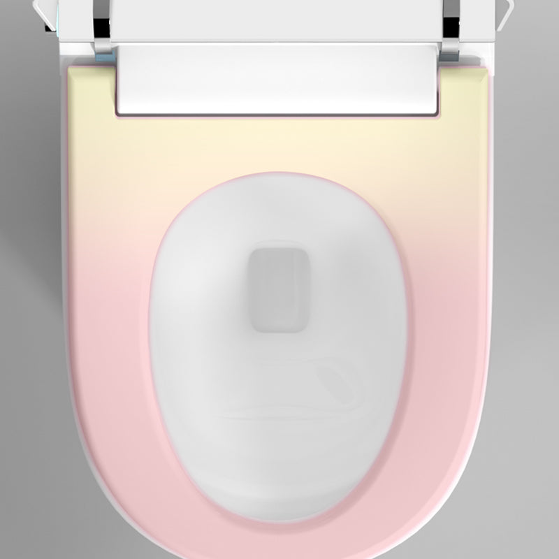 Contemporary One Piece Flush Toilet Heated Seat Included Toilet Bowl for Bathroom
