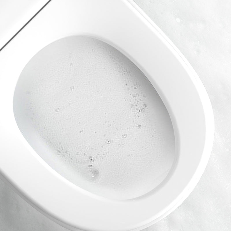 Contemporary One Piece Flush Toilet Heated Seat Included Toilet Bowl for Bathroom