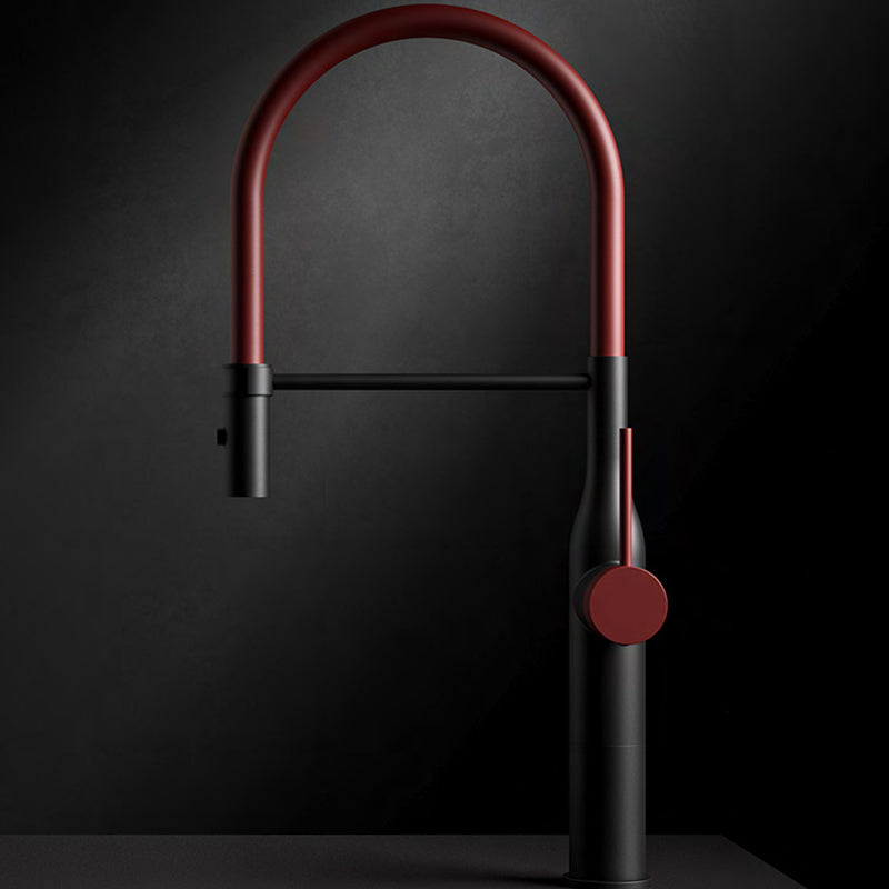 Traditional Single Level Kitchen Faucet Lead Free Metal Faucet