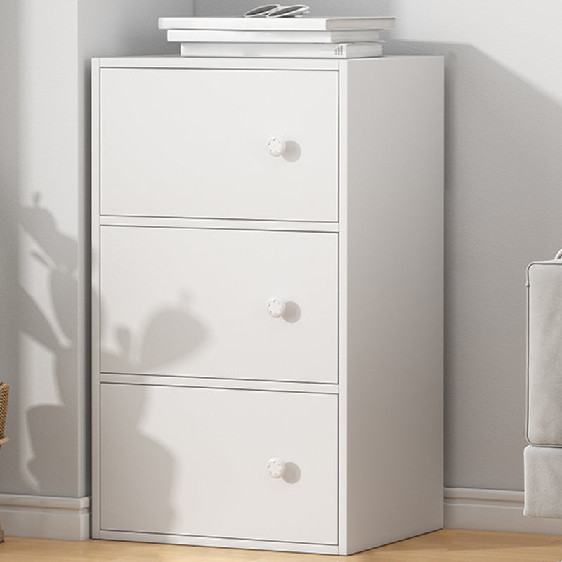 Modern Accent Cabinet Standard No Distressing Wood Cabinet with Doors