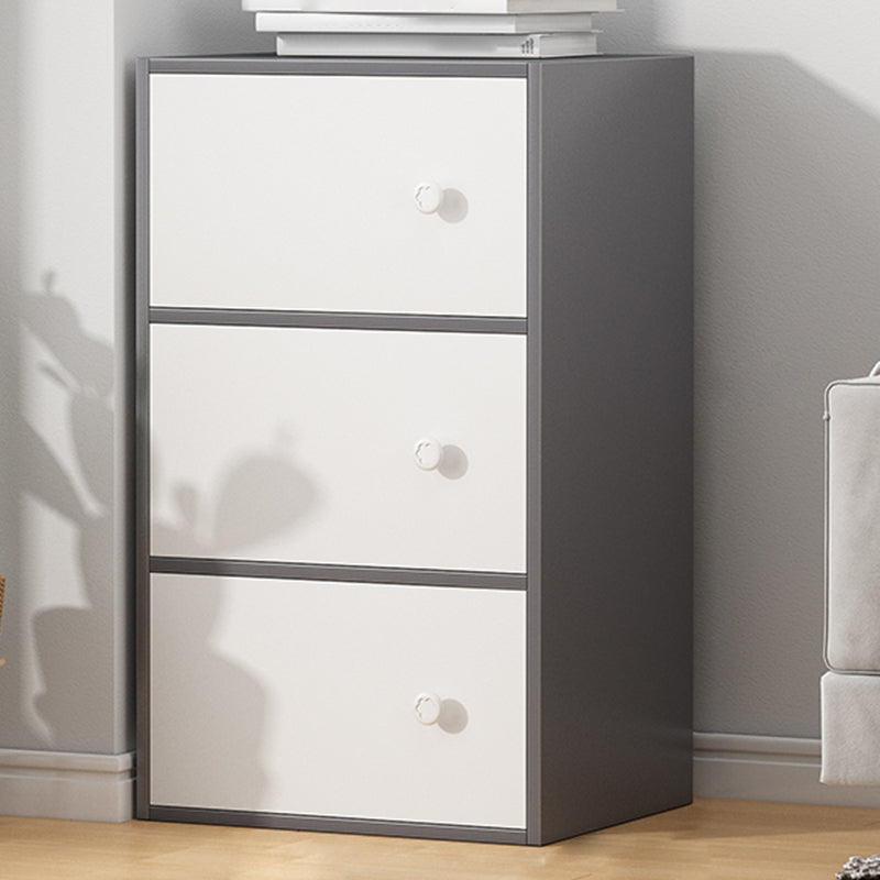 Modern Accent Cabinet Standard No Distressing Wood Cabinet with Doors