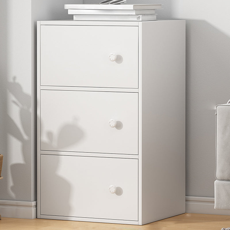 Modern Accent Cabinet Standard No Distressing Wood Cabinet with Doors
