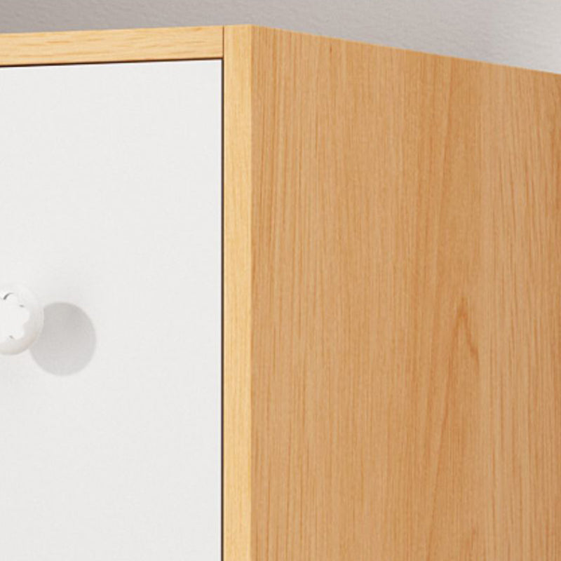 Modern Accent Cabinet Standard No Distressing Wood Cabinet with Doors