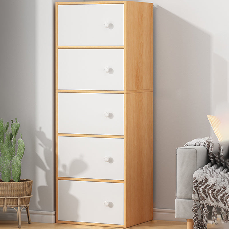 Modern Accent Cabinet Standard No Distressing Wood Cabinet with Doors