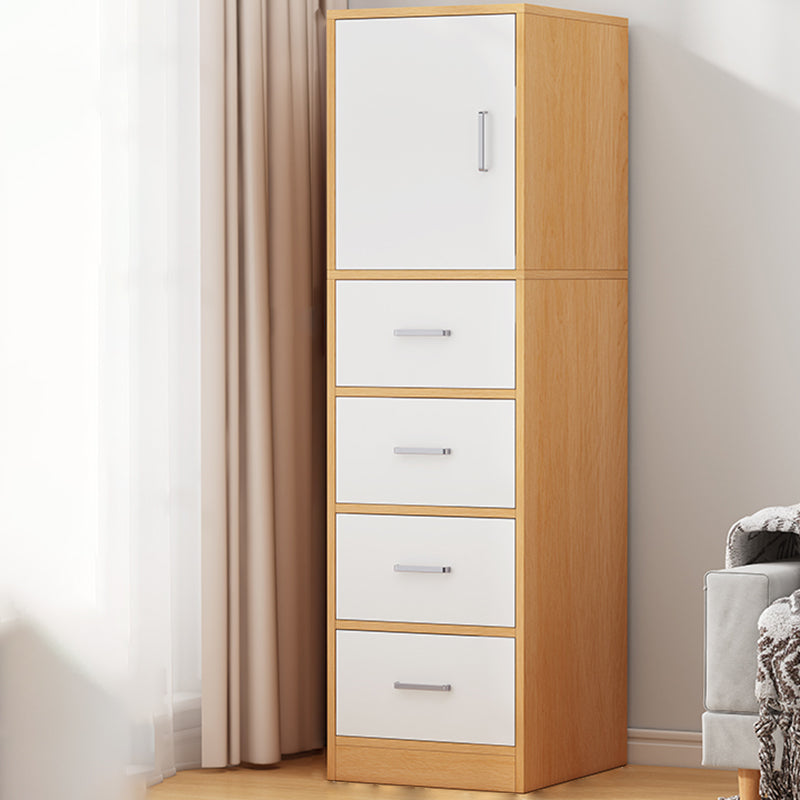 Modern Accent Cabinet Standard No Distressing Wood Cabinet with Doors