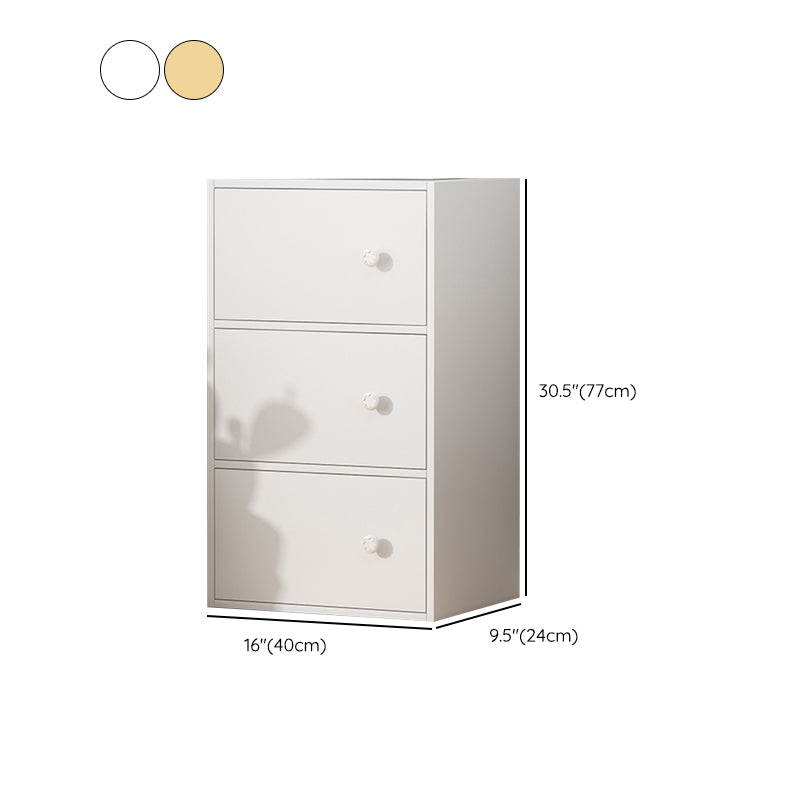 Modern Accent Cabinet Standard No Distressing Wood Cabinet with Doors