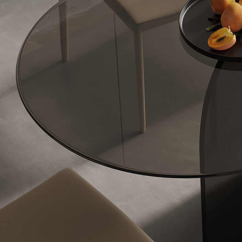 Modern Transparent Gray Glass Desktop Ellipse Dining Table for Dining Room