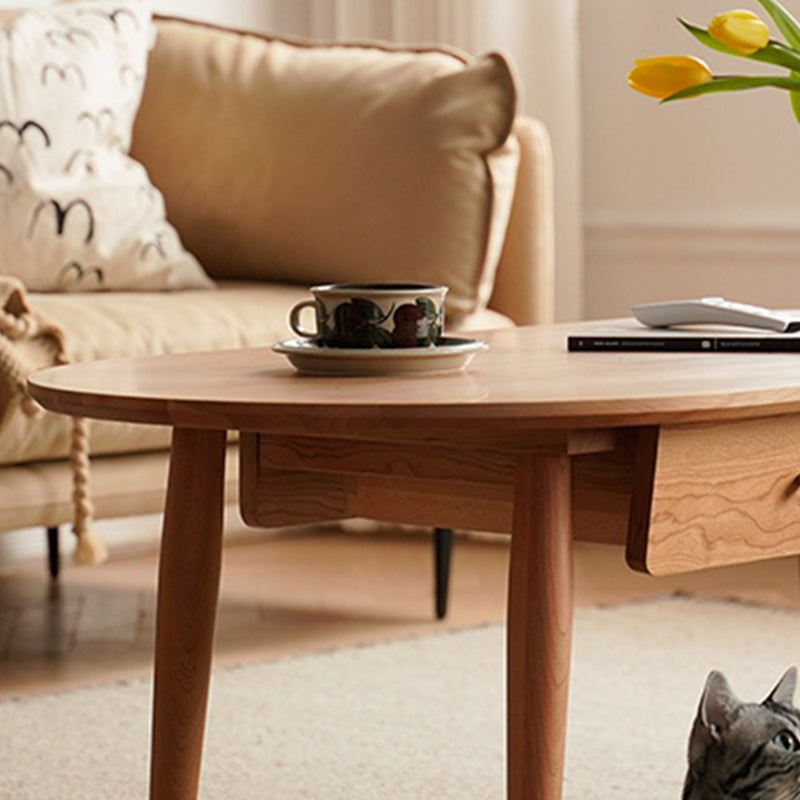 23" Wide Contemporary Cocktail Table Storage Oval Coffee Table