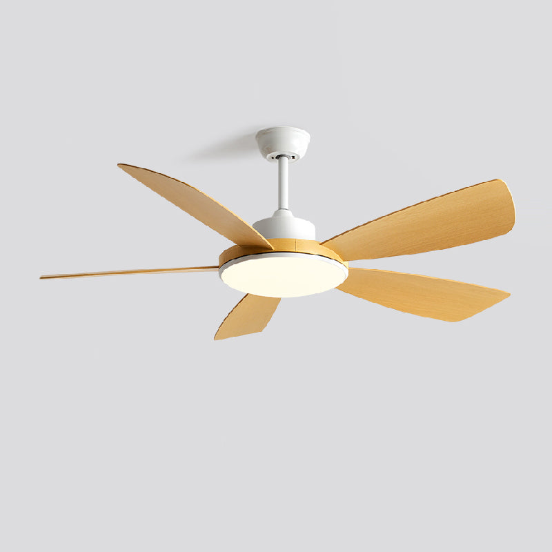 Simple Ceiling Fan Light Fixture Modern LED Ceiling Lamp for Bedroom