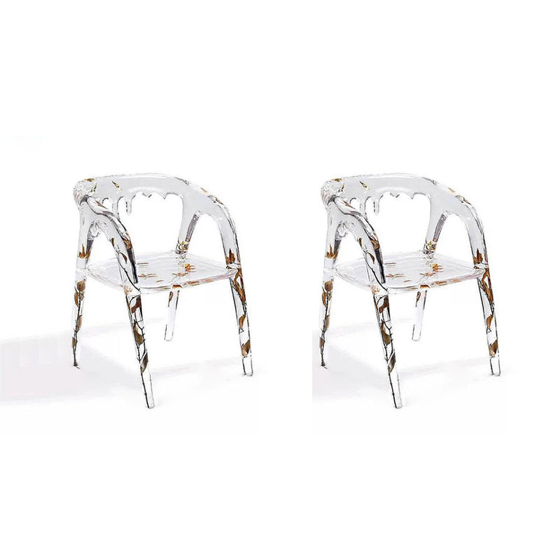 Modern Simple Arm Chair Resin Frame Dining Arm Chair for Dining Room