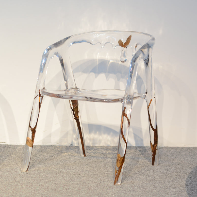 Modern Simple Arm Chair Resin Frame Dining Arm Chair for Dining Room
