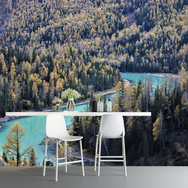 Landscapes Pattern Mildew Wall Mural Horizontalt Photography for Living Room