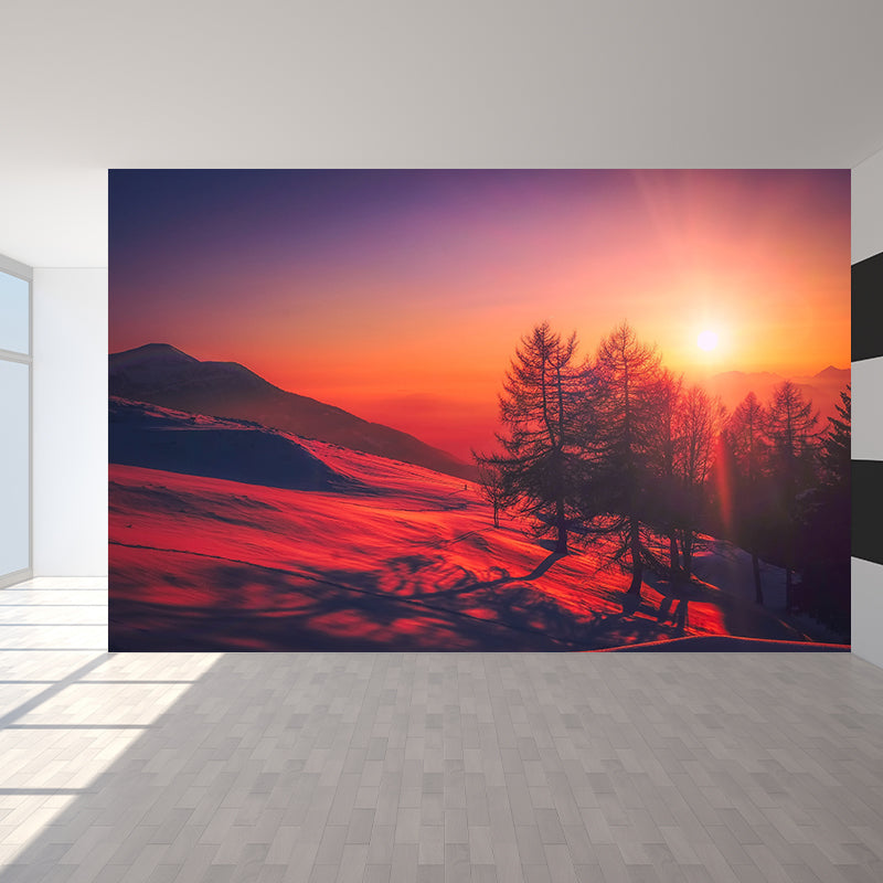 Evening Glow Photography Pattern Mildew Wall Mural Horizontalt for Living Room