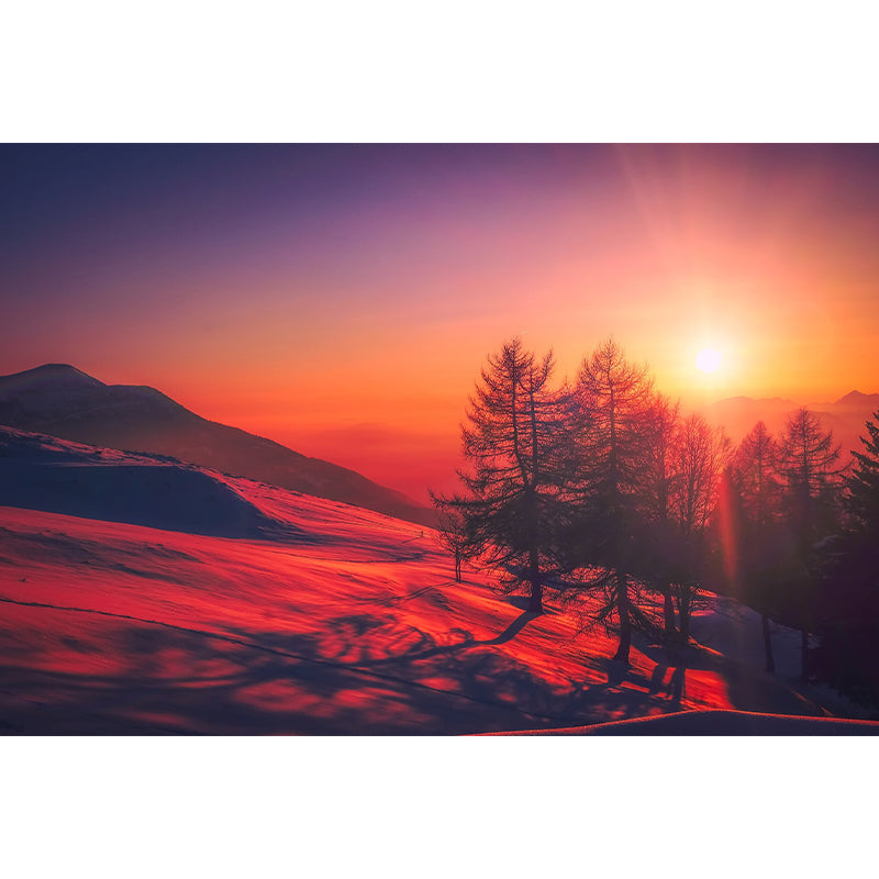 Evening Glow Photography Pattern Mildew Wall Mural Horizontalt for Living Room