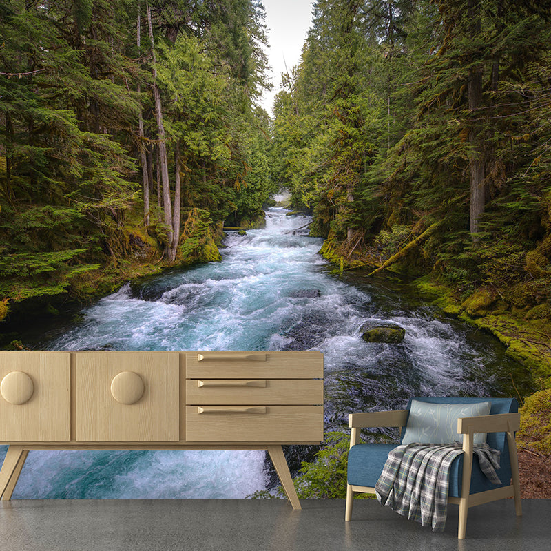 Photography Pattern Mildew Wall Mural Landscapes Horizontalt for Living Room