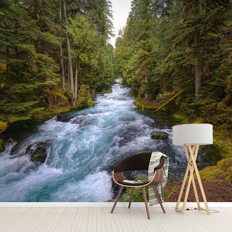 Photography Pattern Mildew Wall Mural Landscapes Horizontalt for Living Room