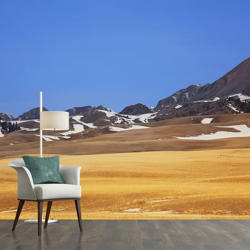 Photography Pattern Mildew Wall Mural Landscapes for Living Room