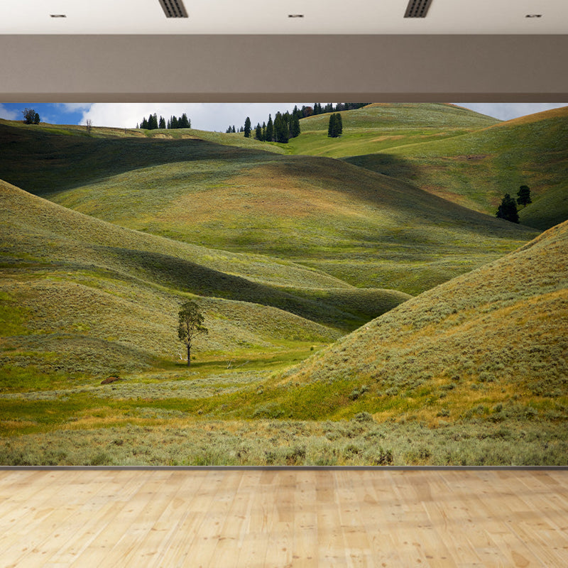 Photography Pattern Mildew Wall Mural Grassland for Living Room