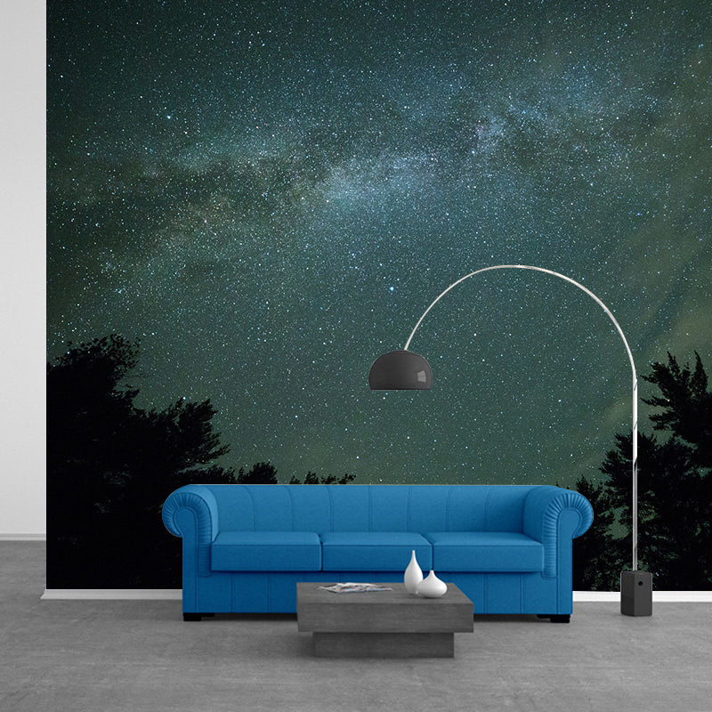 Starry Sky Photography Pattern Mildew Wall Mural Horizontalt for Living Room