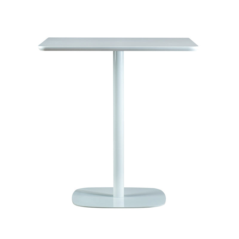 Modern Square Dining Table Wood Tabletop with Steel Pedestal Base