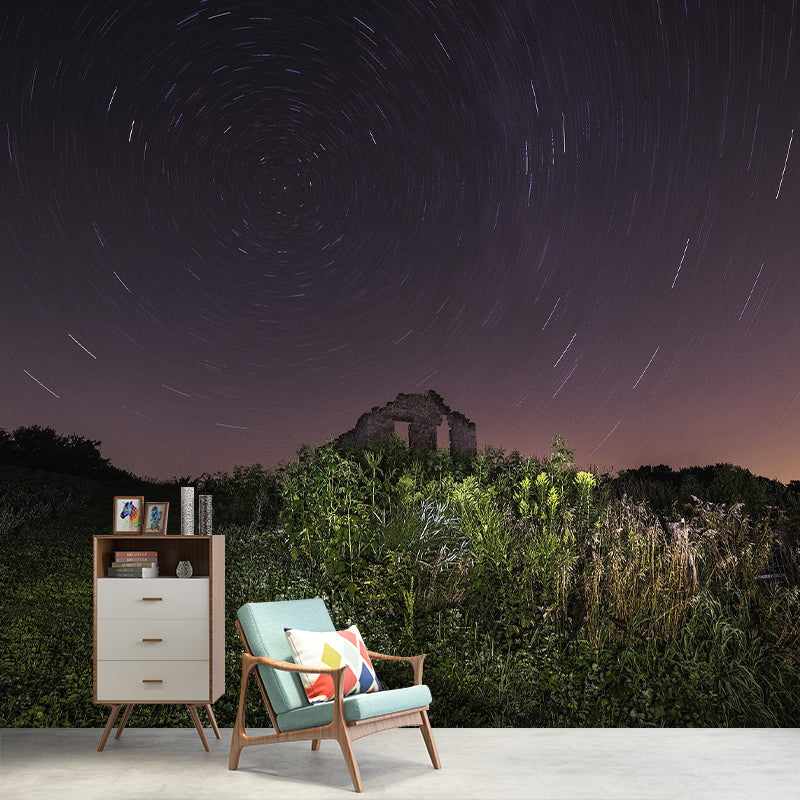 Photography Pattern Mildew Wall Mural Starry Sky for Living Room